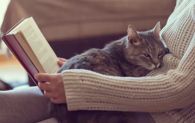 nainen lukee kirjaa kissa sylissä