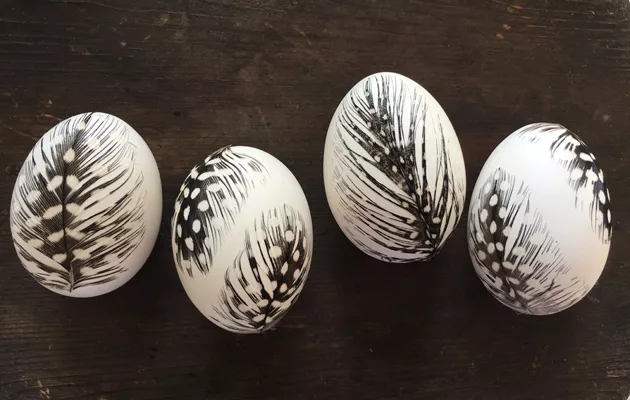 Koristele kananmunat höyhenillä niin saat pääsiäiseksi kauniita pääsiäismunia.