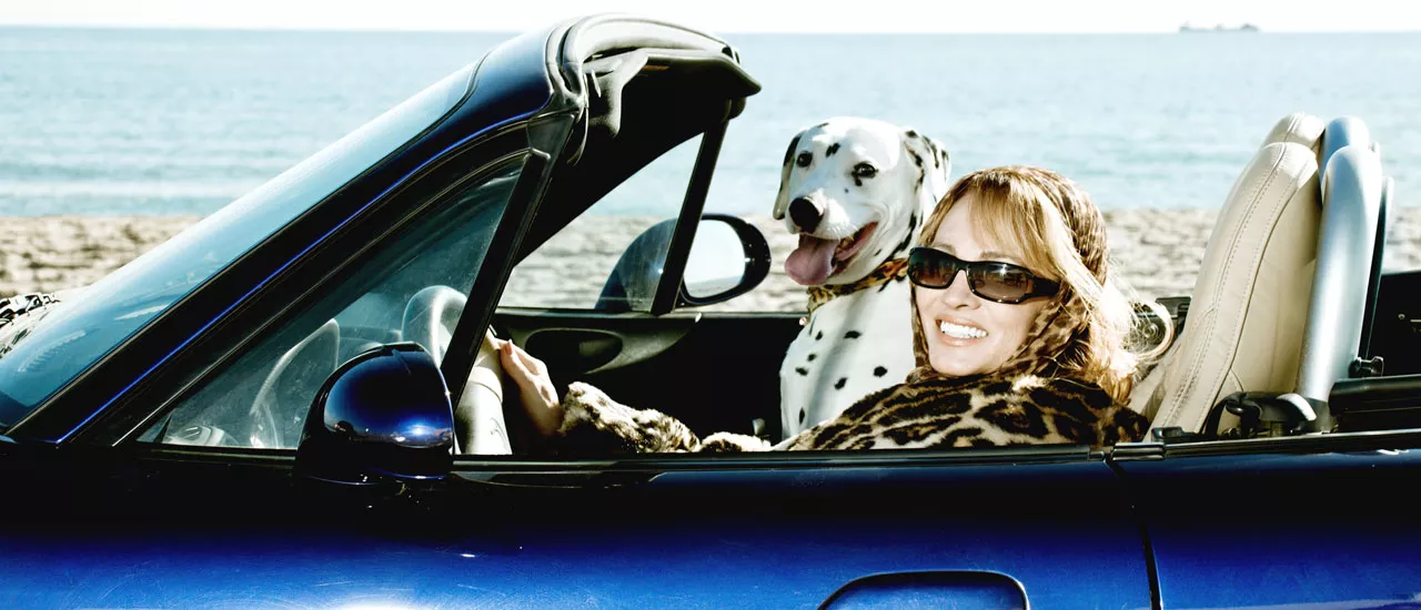 nainen ja koira autossa