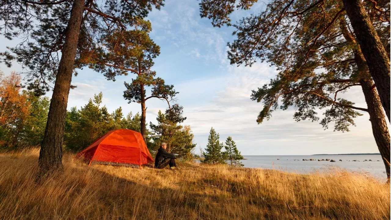 Mitä mukaan vaellukselle? Jos aiot yöpyä metsässä, pakkaa mukaan teltta tai riippukeinu.
