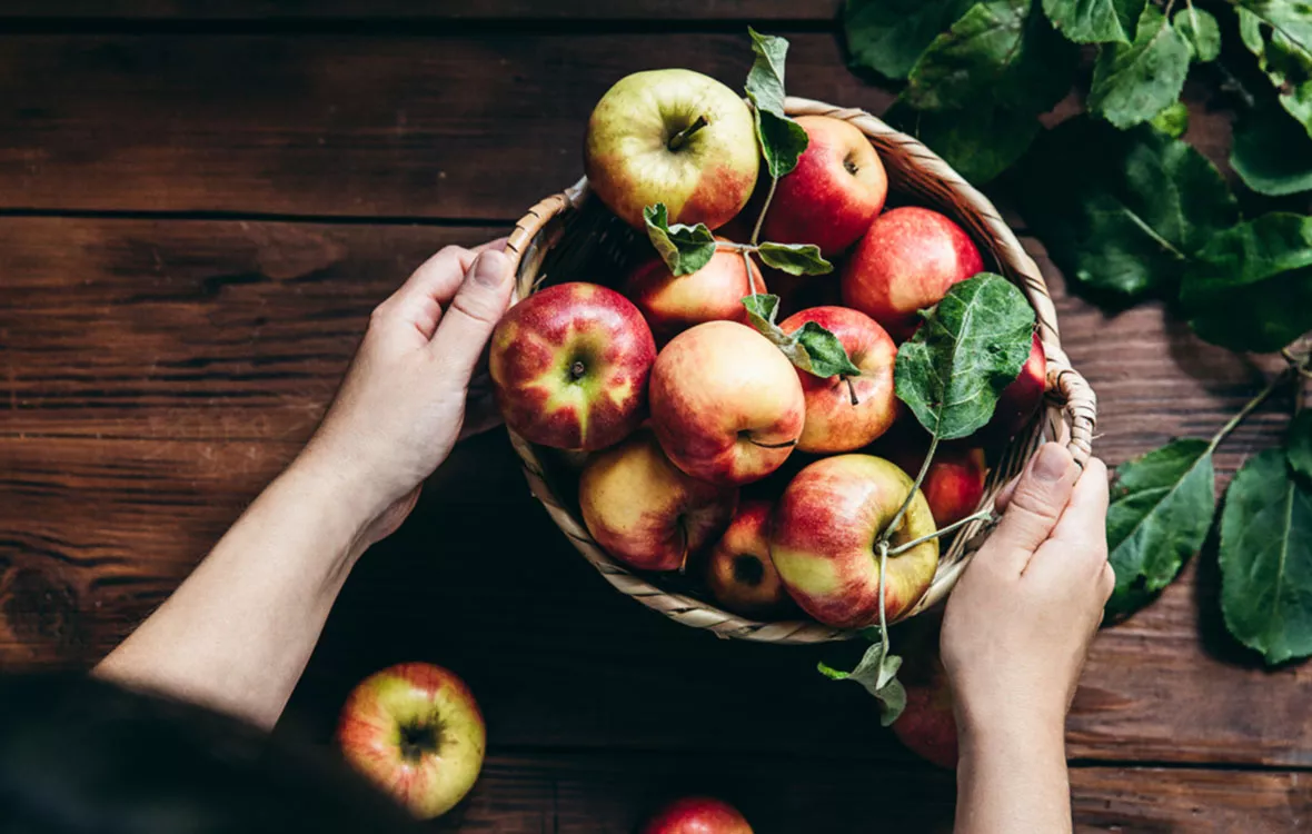 Mitä tehdä omenoista, kun sato yllättää? Tässä parhaat reseptit - Kotiliesi .fi