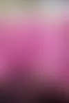 Lumikellokanerva ’Rosalie’ sopii monivuotiseksi puutarhan kasviksi. Se kukkii huhti-toukokuussa. Kuva: hanna_marttinen