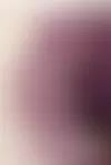 Violettilehtinen käenkaali ’Oxalis Triangularis’