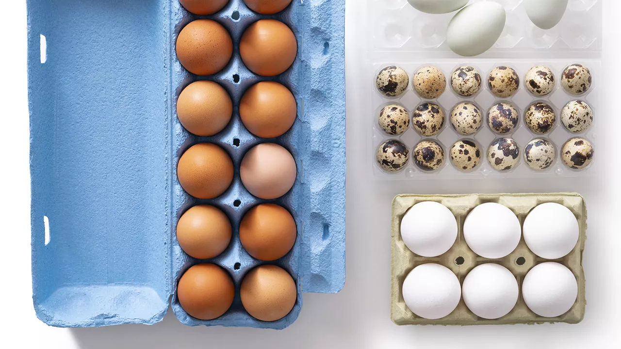 Miksi kananmunat voi säilyttää huoneenlämmössä? Salaisuus on näkymätön kutikula.
