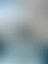 Luka-koira pääsi testaamaan ensimmäisenä upouudet tassusukat. Kuva: Eläinklinikka Takala