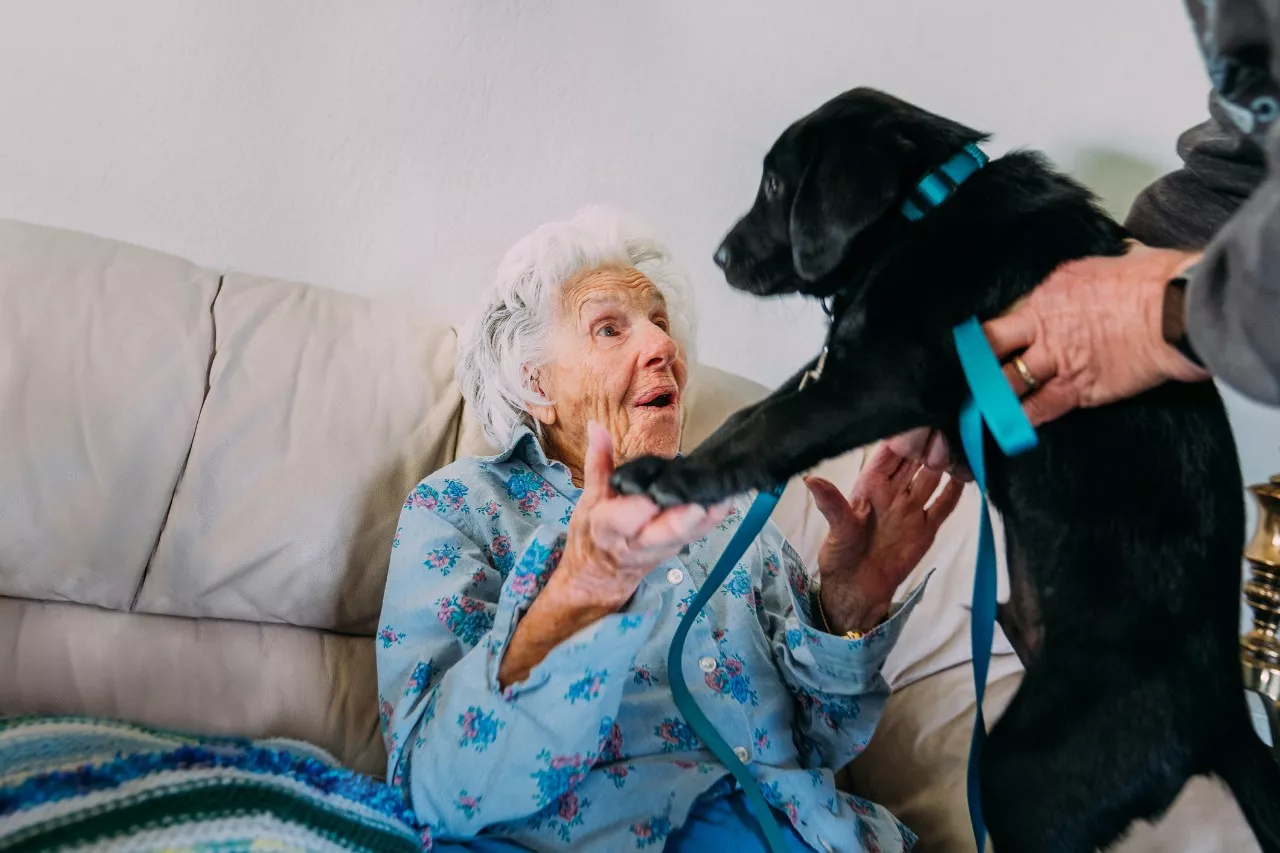 vanha nainen ja koira