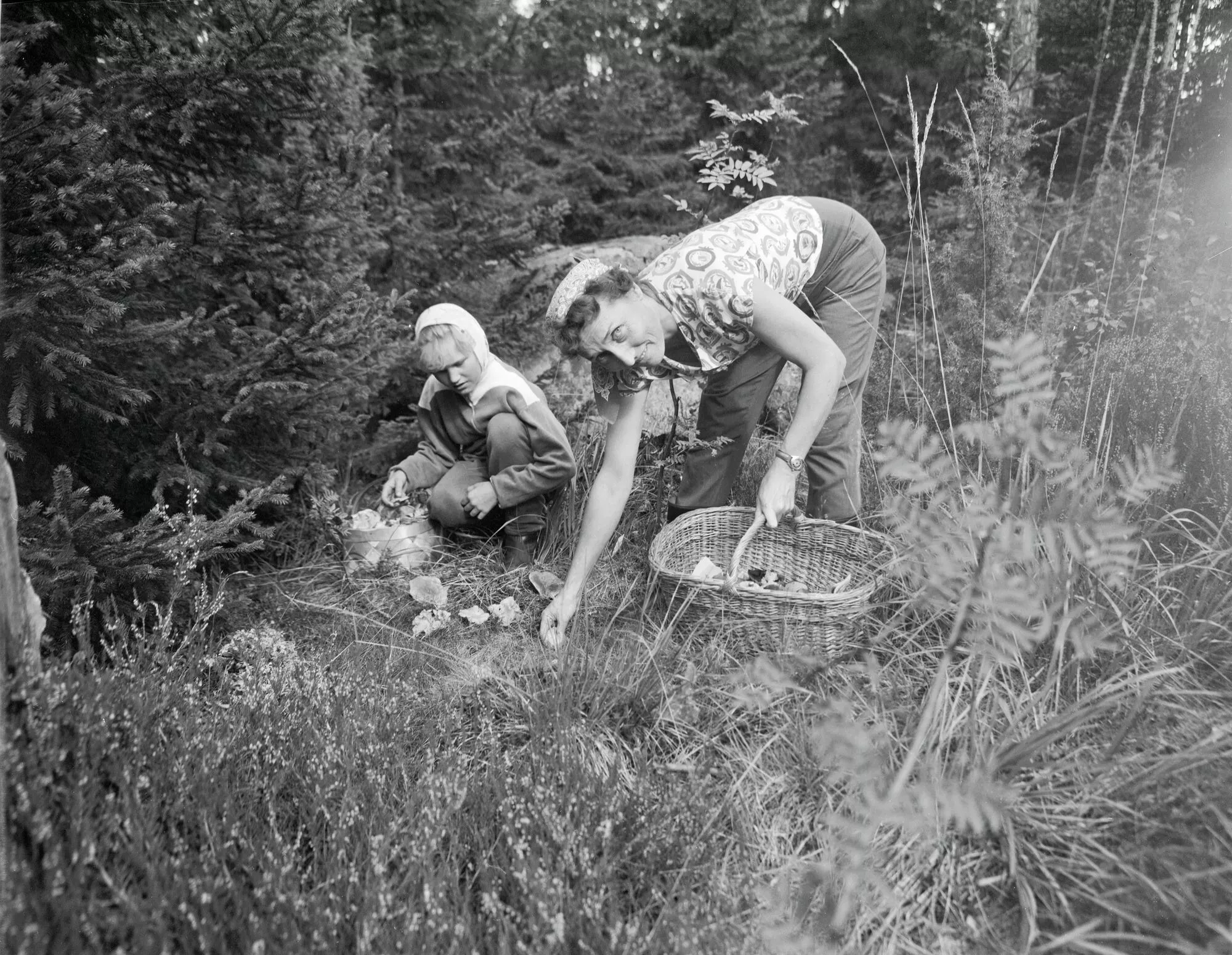 Äiti ja tytär poimivat sieniä metsässä.
