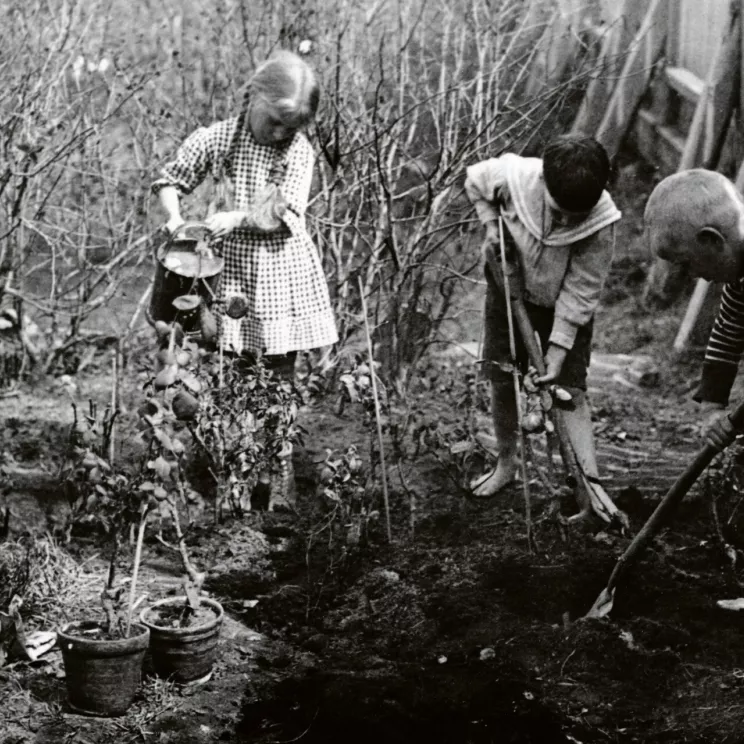 Lapset hoitavat Kotikallion lastentarhan puutarhaa Helsingin Hermannissa 1930-1940-luvuilla.