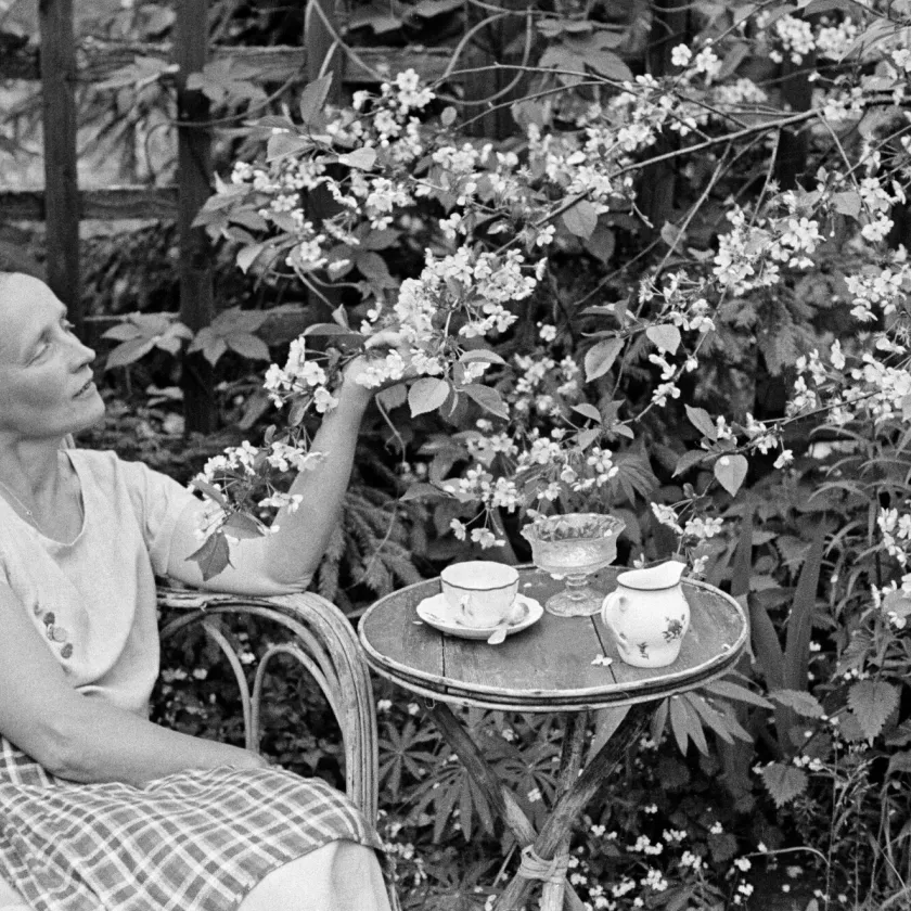 Rouva Selin puutarhassaan vuonna 1950.