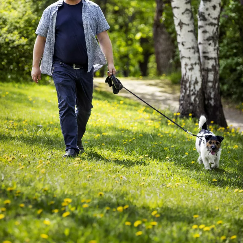 Kirjailija Tommi Kinnunen ulkoilee Noppa-koiran kanssa Turussa.