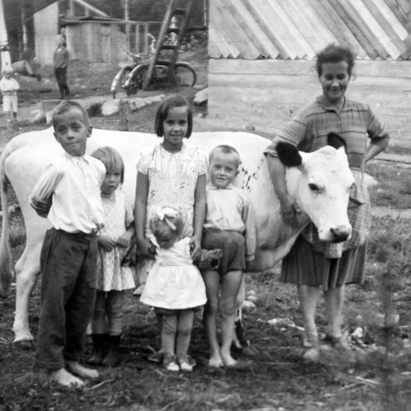 Vuonna 1960 Kotilieden Kummikerho sai postia, johon oli liitetty kuva Arja-äidistä lapsineen. Perhe oli lähettänyt kuvan kiitokseksi lahjalehmästä, joita Kummikerho hankki köyhille perheille.