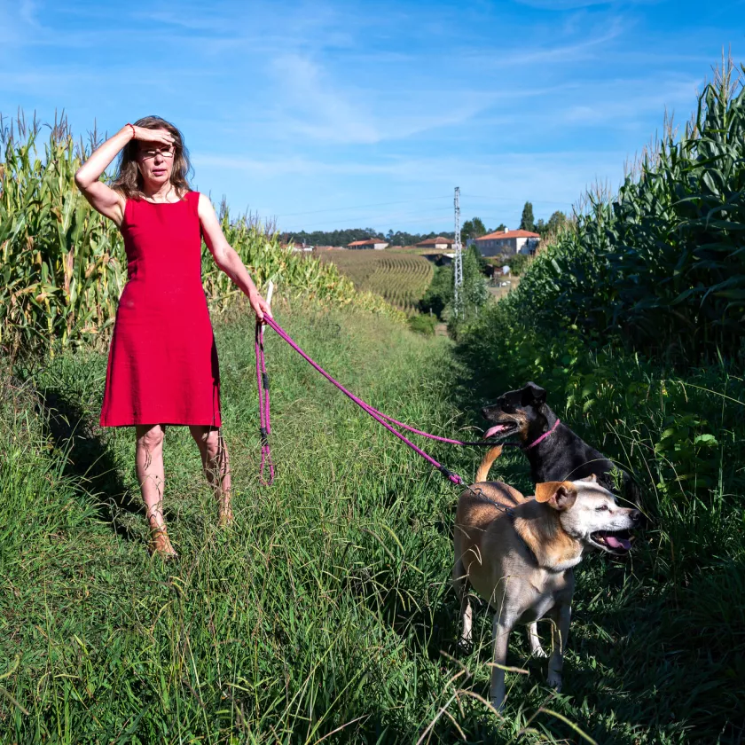 Kävelyllä koirien kanssa kodin läheisellä peltotiellä Giãon kylässä.  
