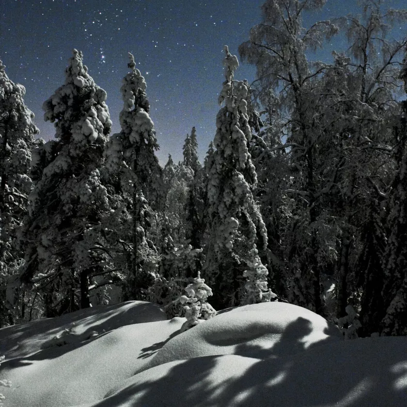 ”Kuva on vuodelta 2010, jolloin vietin vuoden metsässä. Kuva on otettu Antskogissa, Fiskarsin metsässä. Kun lunta tuli paljon, metsässä ei pystynyt hiihtämään. Olinkin sitten rampannut itselleni polkuverkoston, jota kuljin. Tämä on yksi hienoista kuutamoöistä siellä.”