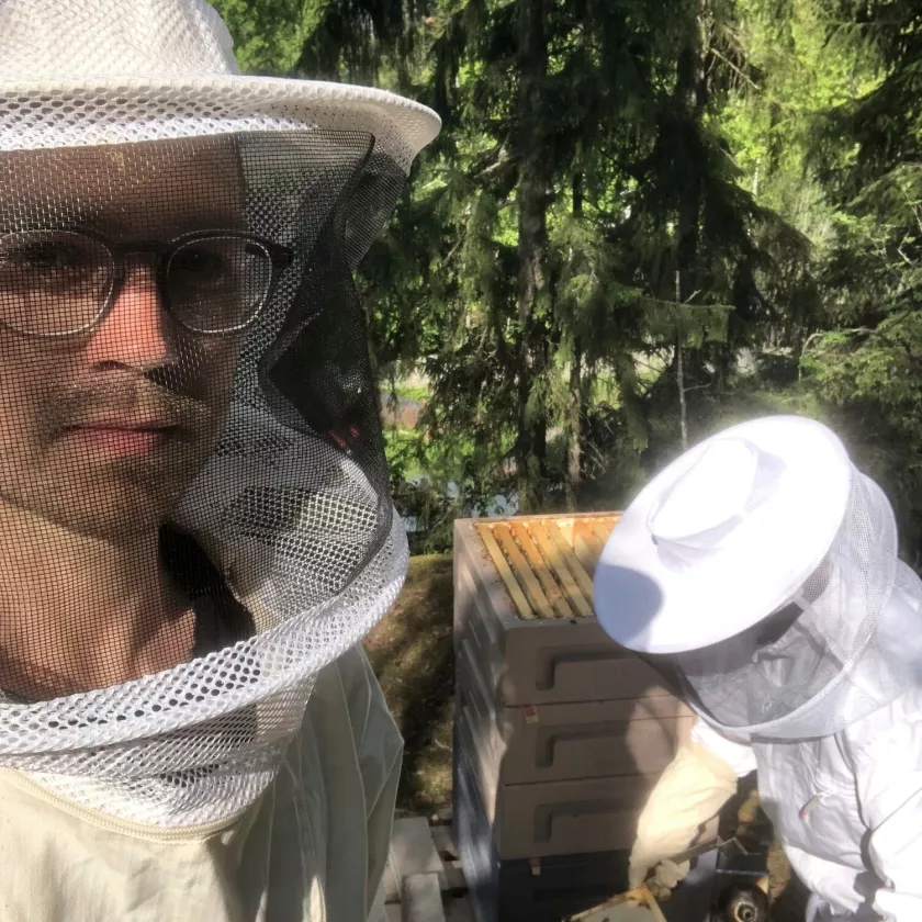 Omasta pesästä tarhaajat saivat heti ensimmäisenä ­kesänä 50 kiloa hunajaa.