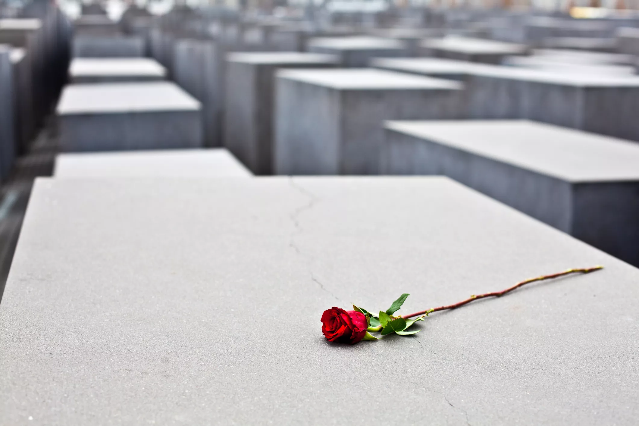 Holokaustin uhrien muistomerkki Berliinissä