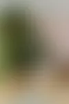 Olohuoneen vihreä varaava kaakeliuuni on talvella ahkerassa käytössä. Seinään nojaava öljyväriteos sai uuden elämän Jani Leinosen Taidetuunaamossa. Pronssinen patsas on Tinon äidin Suomeen tuoma muisto Intiasta. Margit keksi spraymaalata sen valkoiseksi.