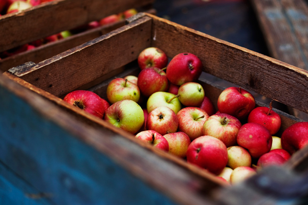 Omenalajikkeet haltuun – upota hapokkaat kokkailuihin 