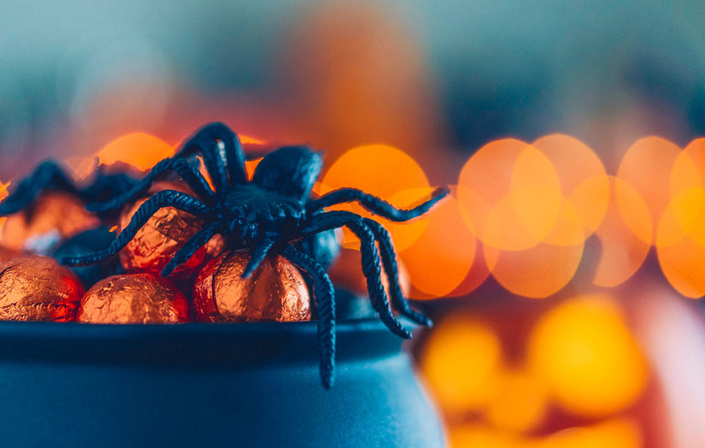 Halloween ja muovinen hämähäkki