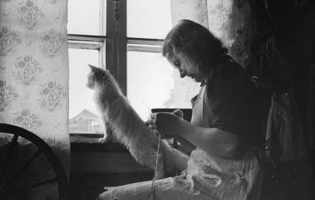 Nainen tekee käsitöitä ikkunan ääressä ja kissa katsoo ikkunasta ulos.