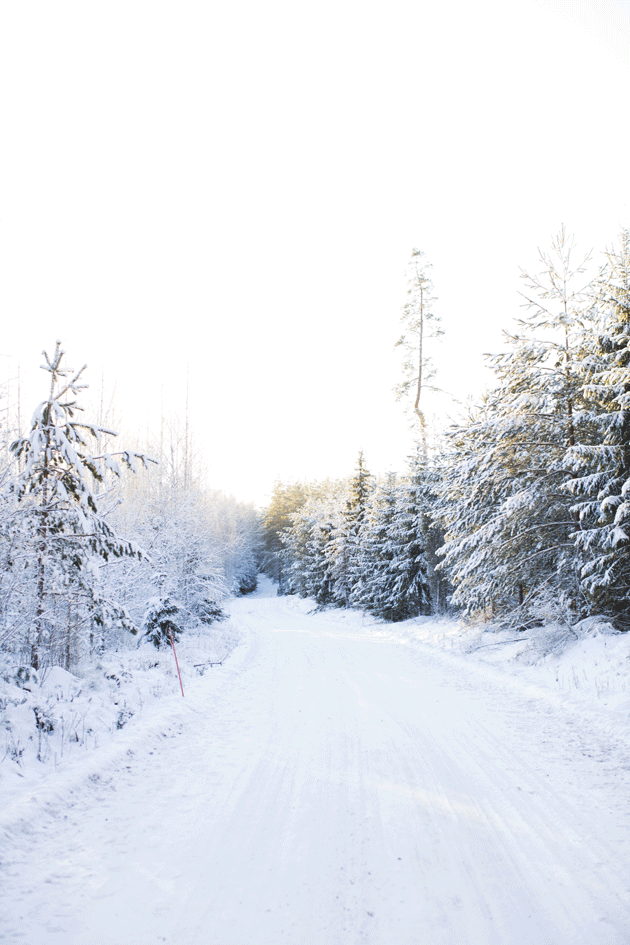 Winter. Photo Pekka Holmström