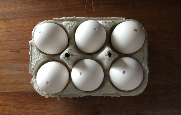 Kananmunan tyhjennys puhaltamalla on helppoa – katso, miten onnistut!