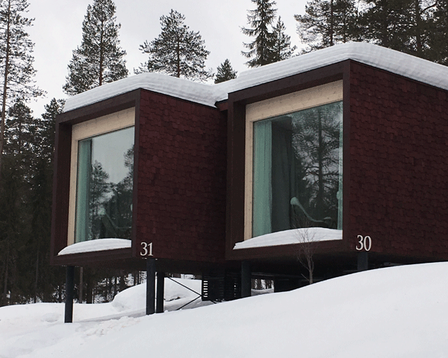 Arctic Tree house talvihotelli