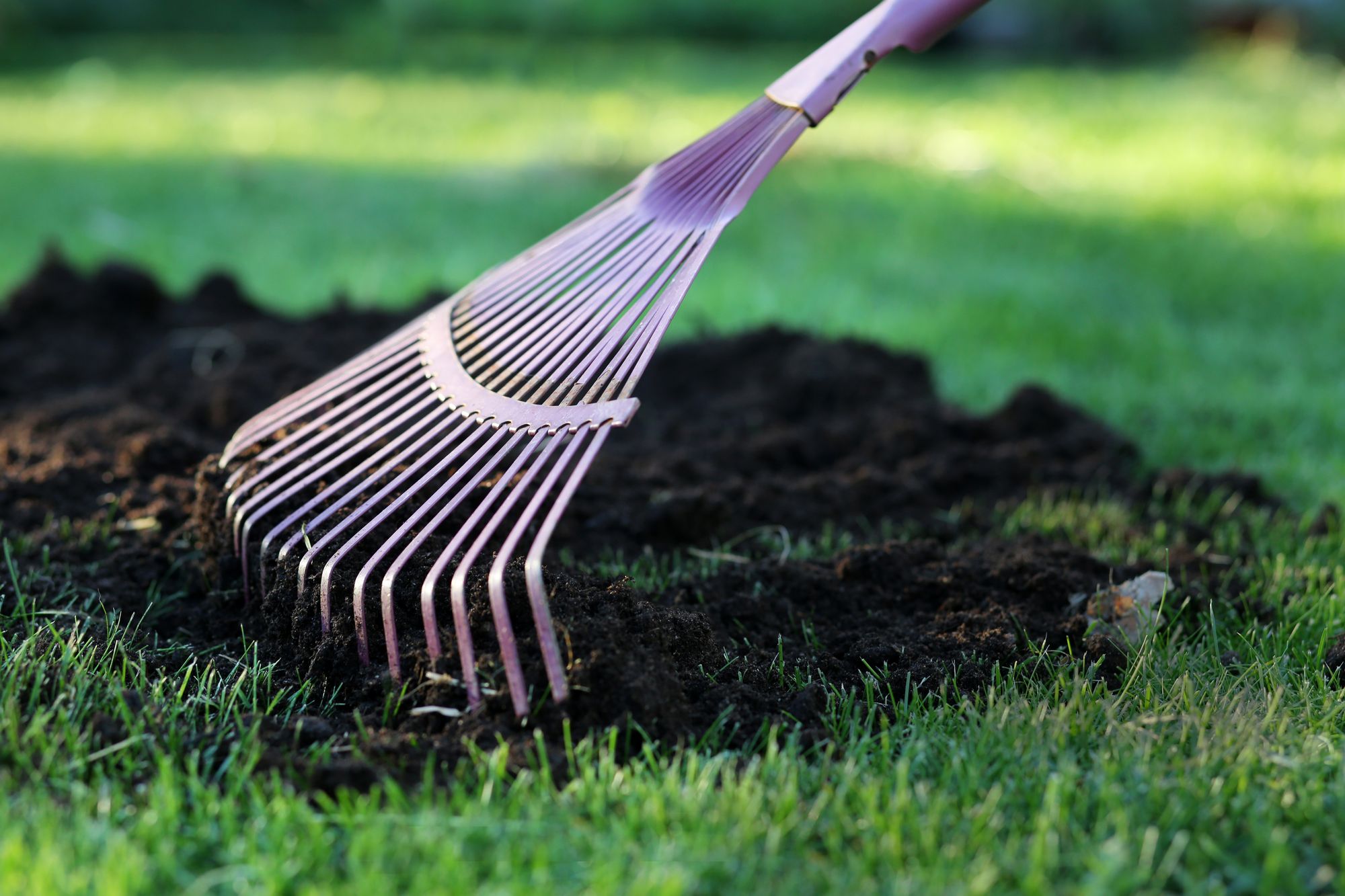 Paranna nurmikon kasvualustaa haravoimalla nurmikolle esimerkiksi kerros Kekkilän nurmikon hoitomultaa. 