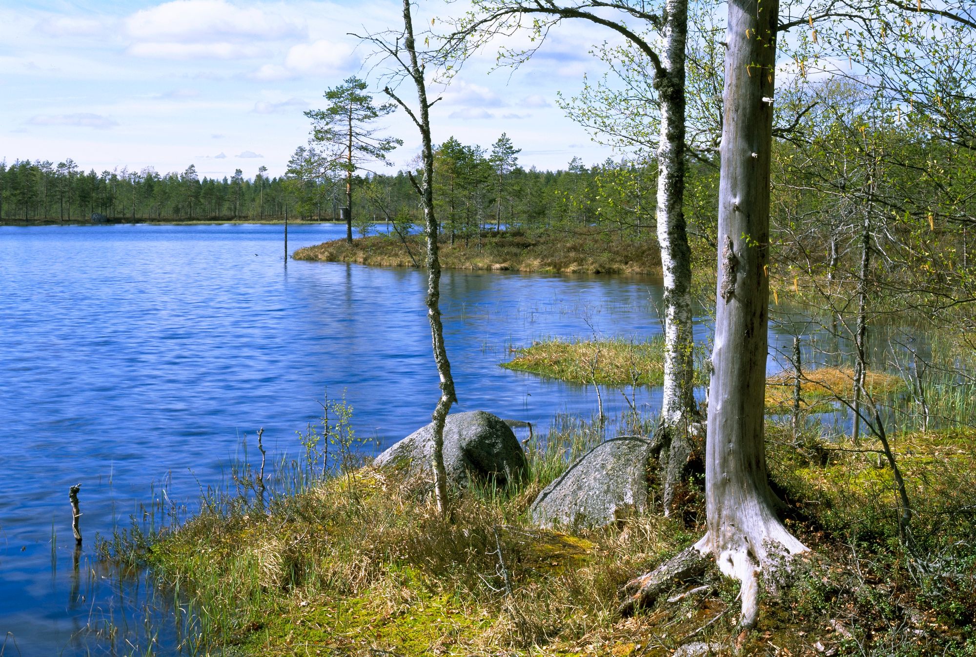 Lähdepohjaisen Spitaalijärven vettä vietiin aikoinaan Venäjälle asti, koska sen uskottiin parantavan sairauksia, jopa spitaalia. Lauhanvuoren kansallispuisto. Kuva: Timo Nieminen