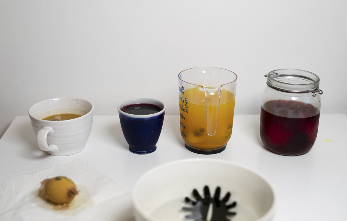 Kuvassa näkyy neljä eri väriliosta, joissa on (vasemmalta oikealle) käytetty vihreää teetä ja persiljaa, mustikkaa, kurkumaa ja punajuurta. Näistä kokeiluista ainoastaan mustikka ja kurkuma antoi voimakkaat värit. Kuva: Anni Reenpää