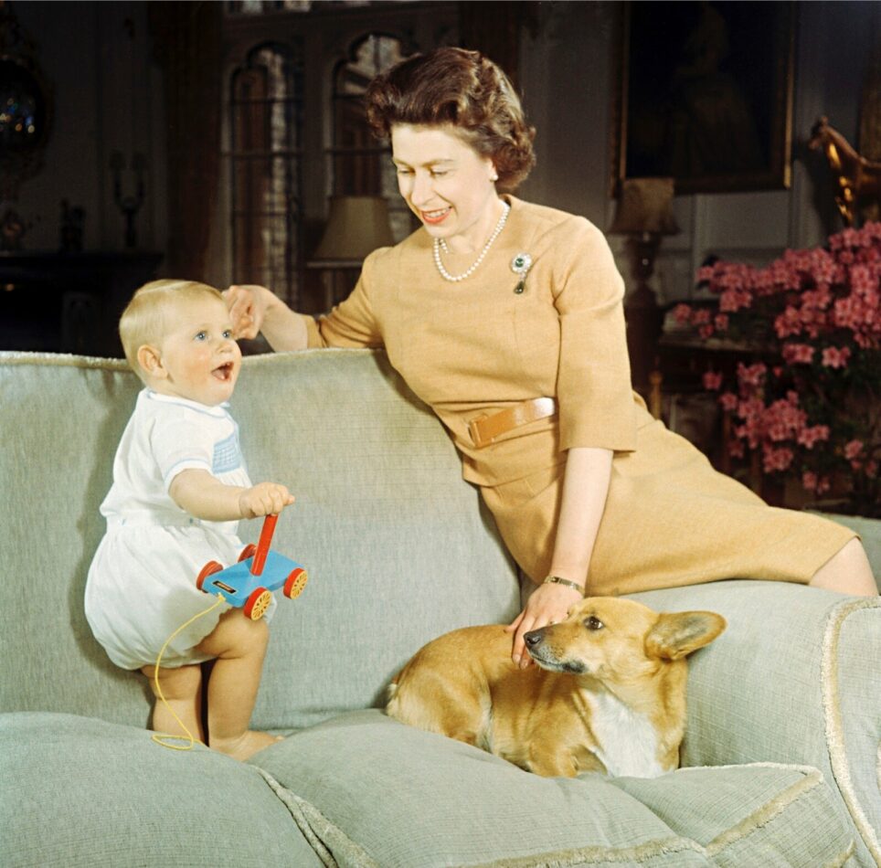 Elisabet koiran ja lapsen kanssa.