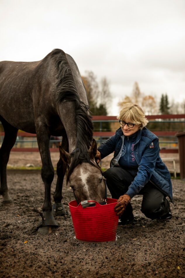 Katja Ståhl ja Lenni-hevonen